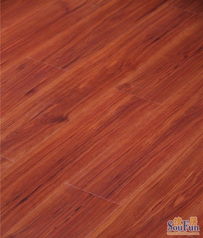 乐家系列立体仿真面强化地板 现代家居的优选